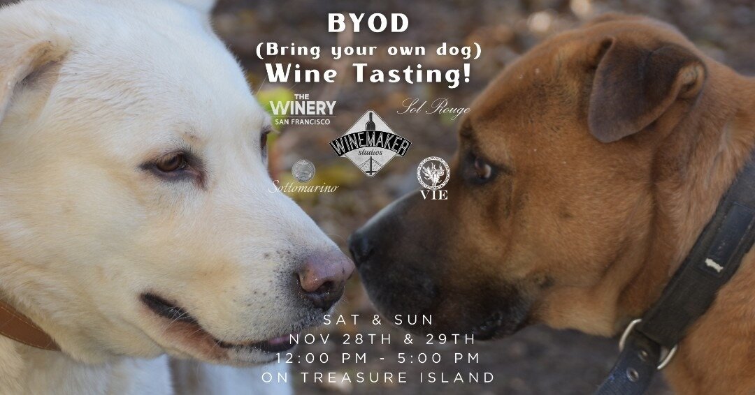 B.Y.O.D. DOG GATHERING &amp; WINE TASTING - This weekend in SF!
Saturday &amp; Sunday, November 28th &amp; 29th- 12pm to 5pm

Bring your own dog and we will bring the wine! It's the perfect combination to look forward to for the last weekend every mo