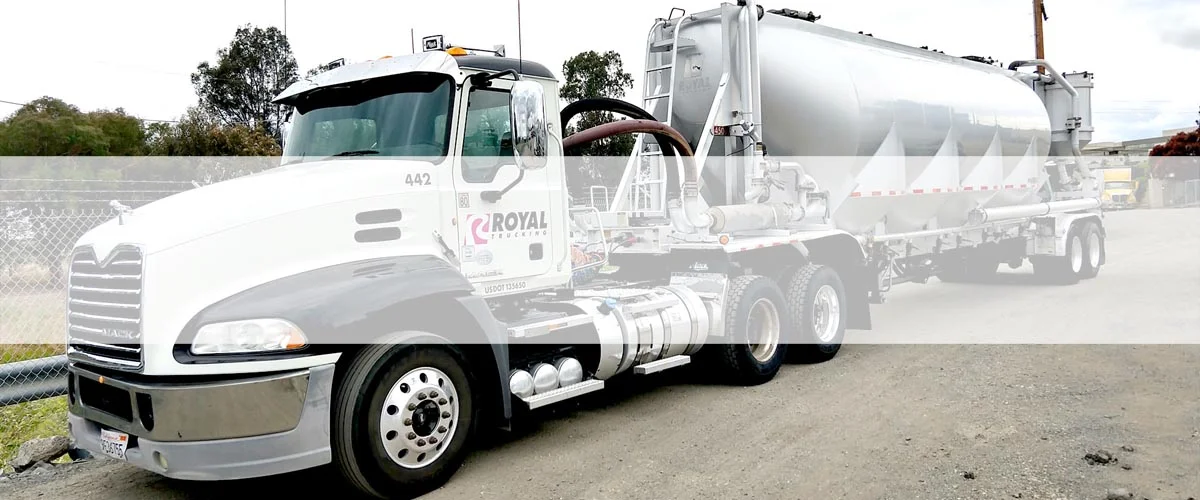 vac_white_stripe_1200x500.jpg