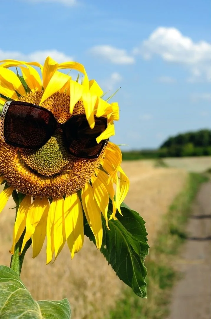 Careers John Joseph Financial Services