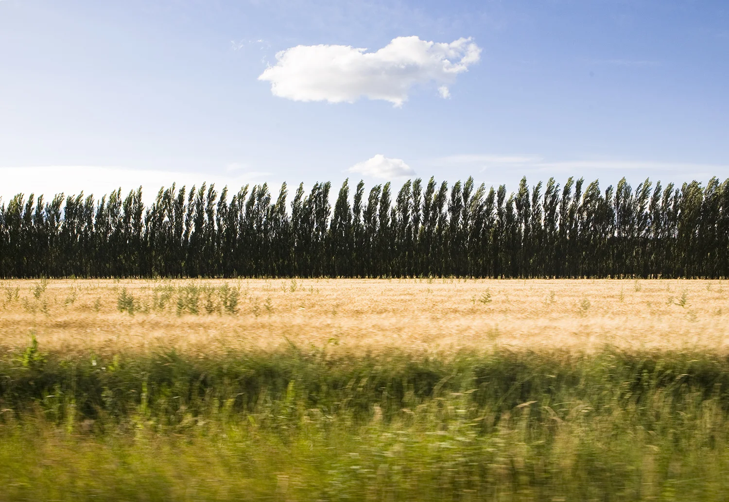 On the road / South of France