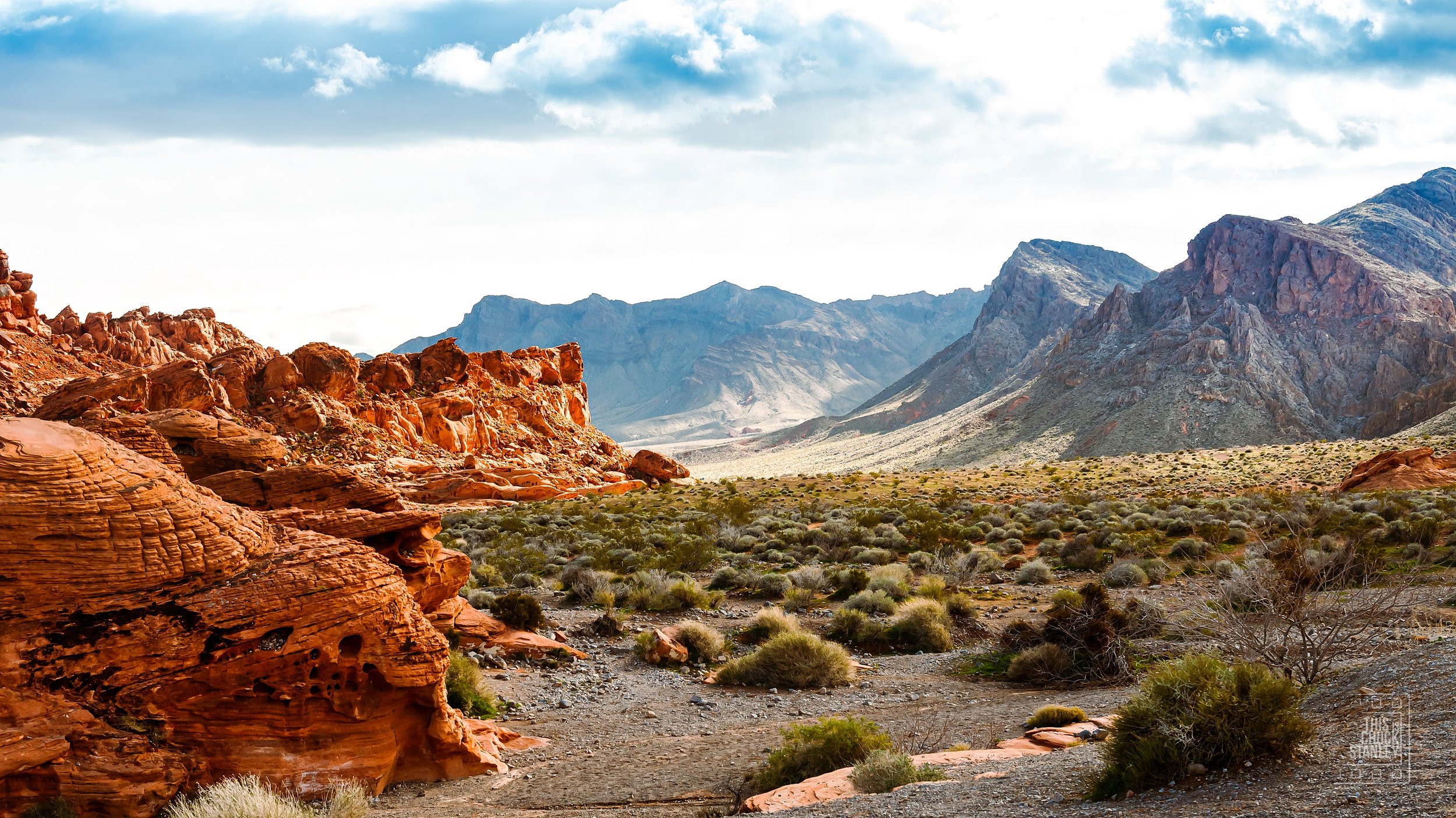 20190204 VALLEY ALIEN REEDIT-min.jpg