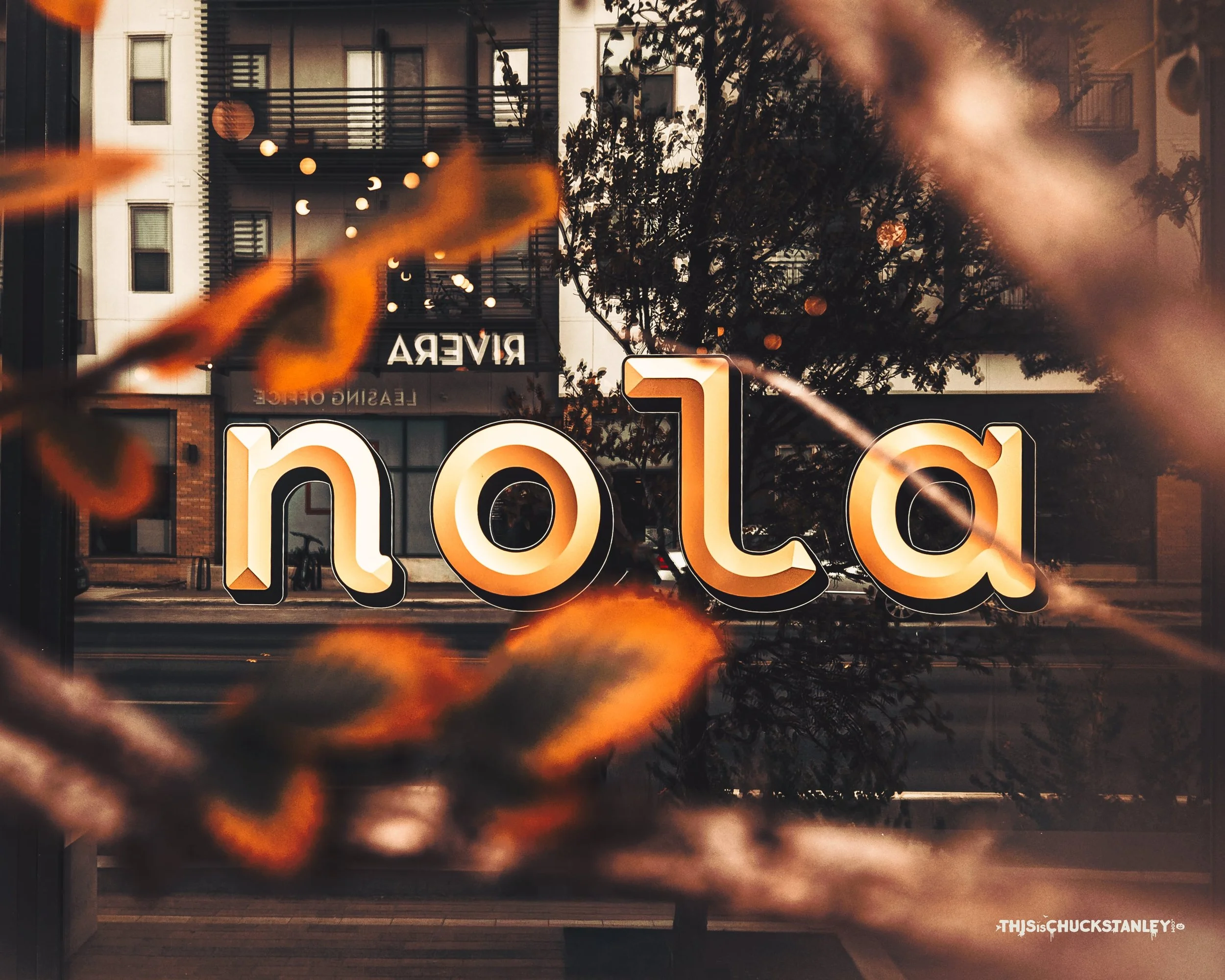20250827 NOLA 01-min.jpg