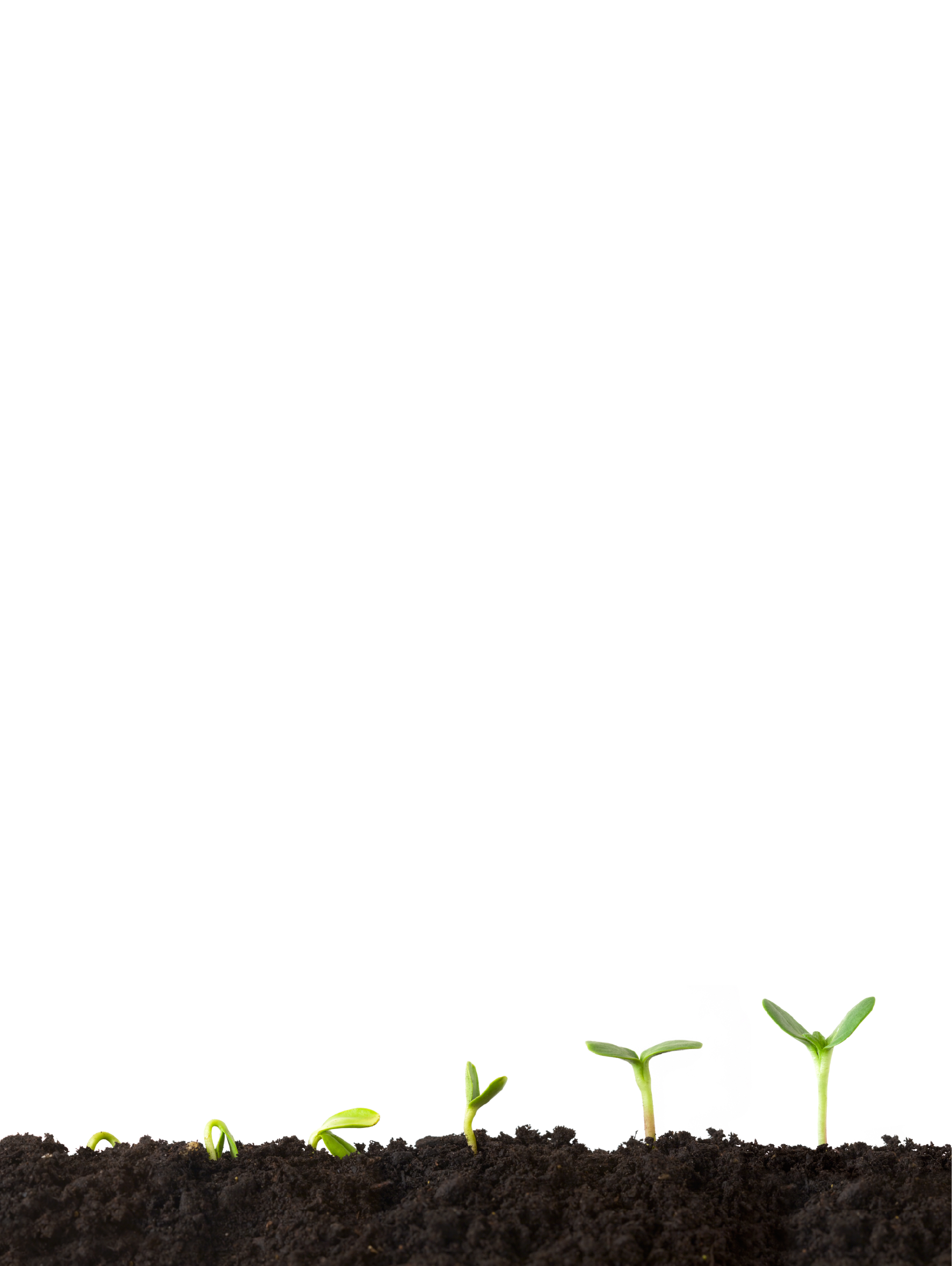 1Artboard 2growth.png