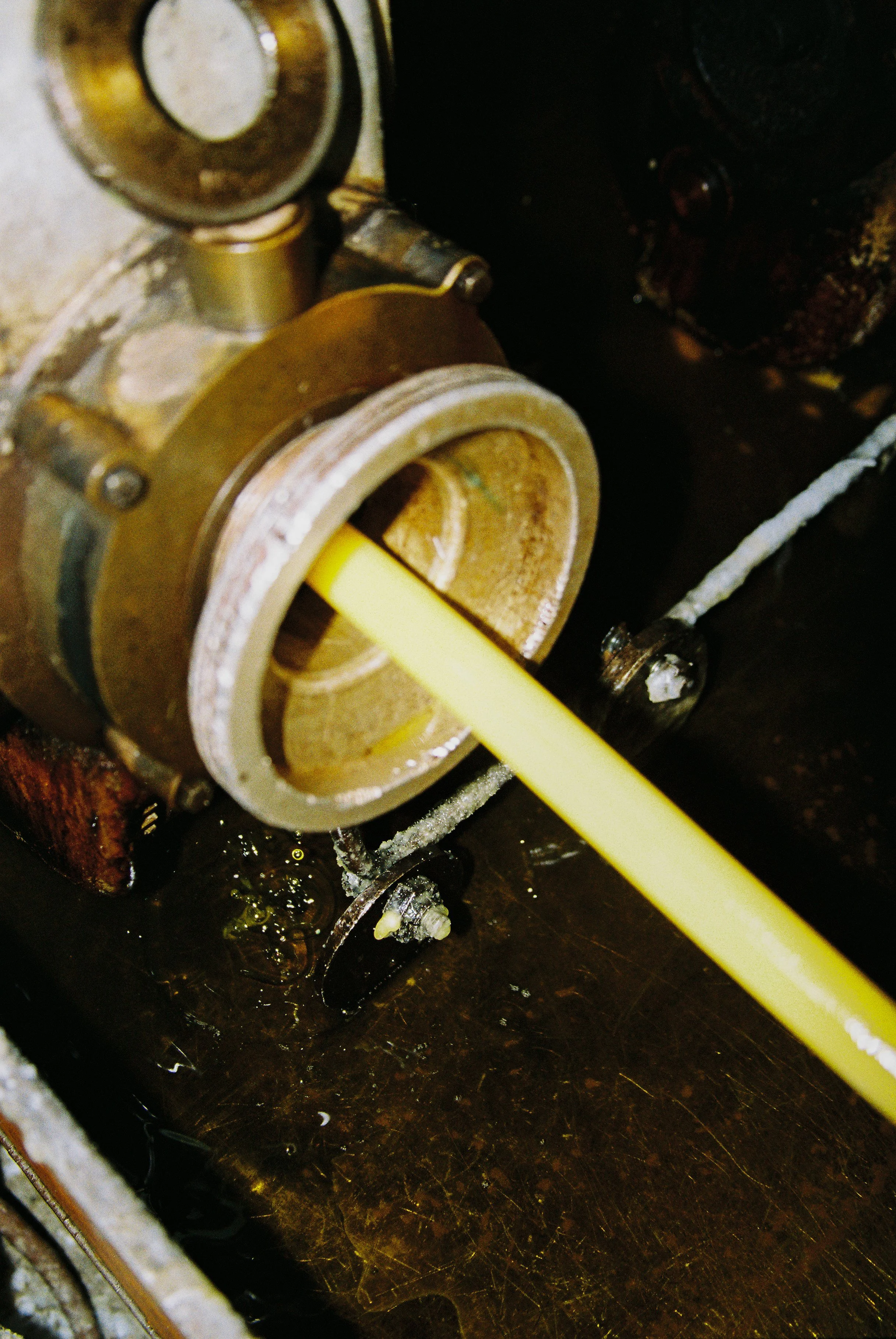 120_35mm_Film_Factory_Product-23.jpg