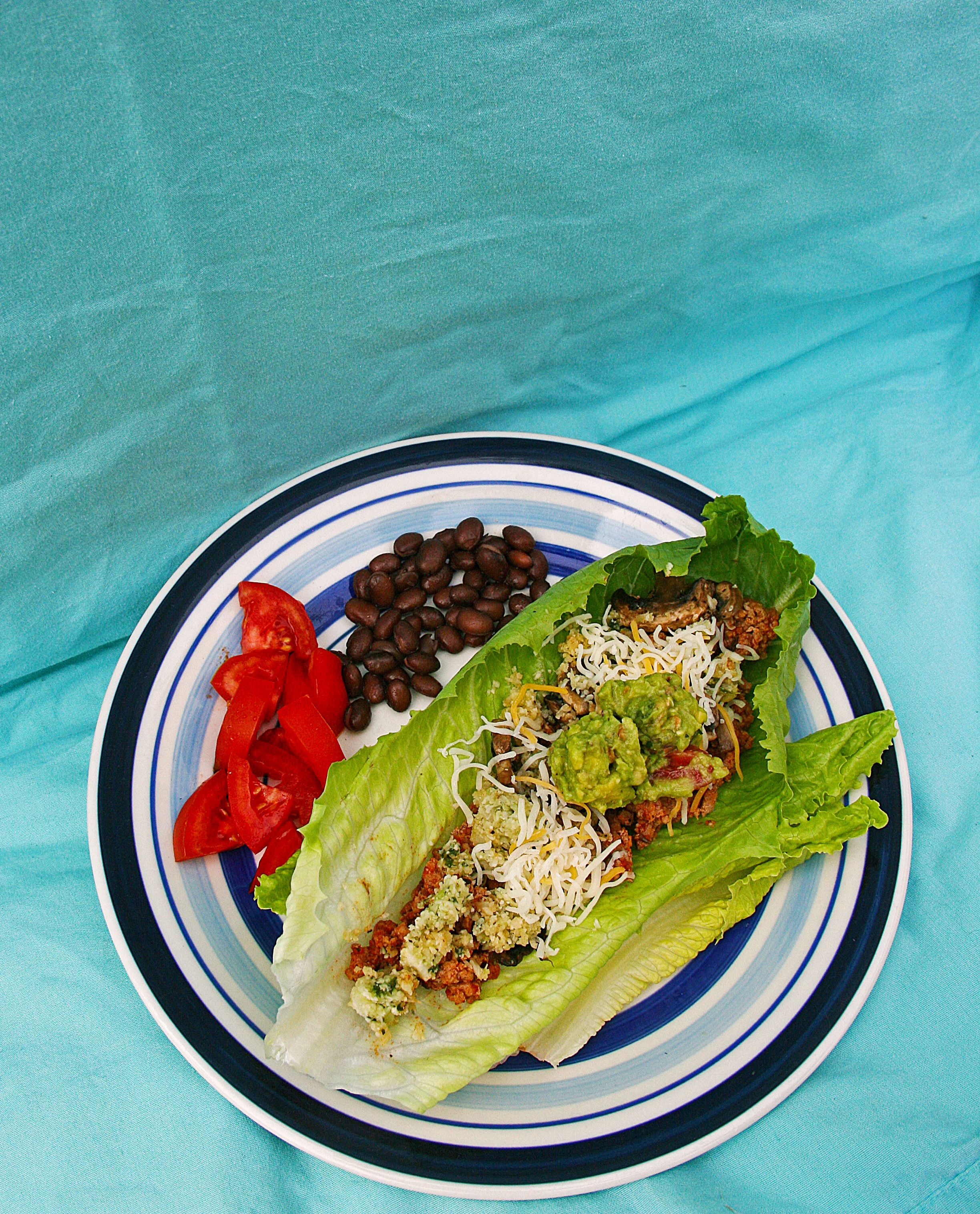 turkeytacolettucewraps1.jpg