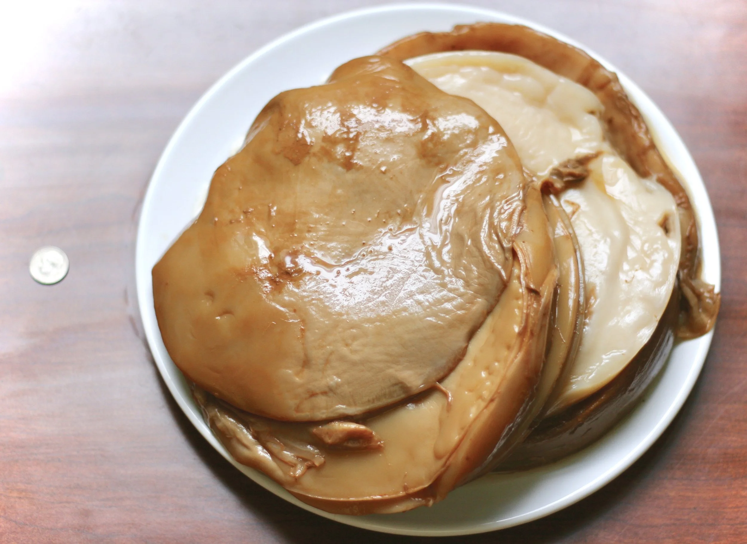 For scale, my scoby baby vs. a dime