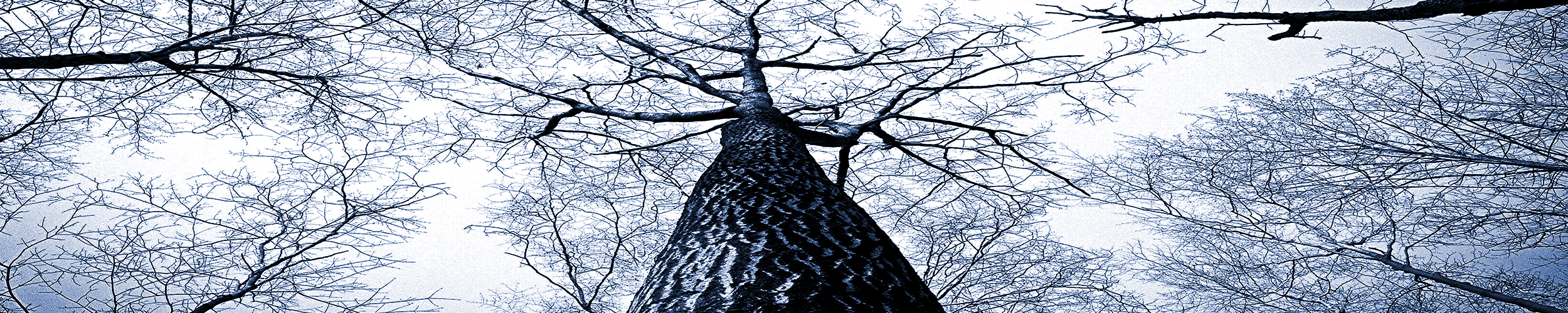 Business Differentiation through Machine Learning