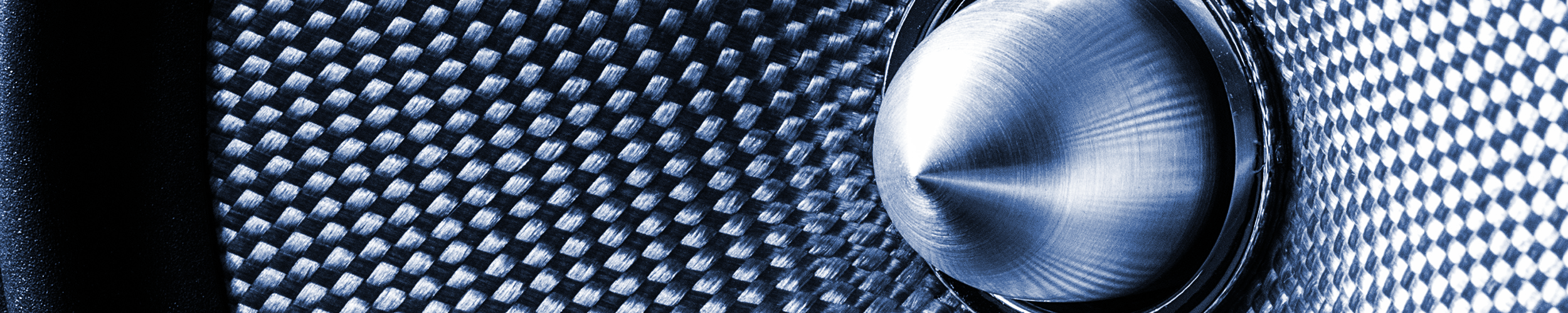 Reena Ganga: Journalist, World Explorer and Master UX Designer 