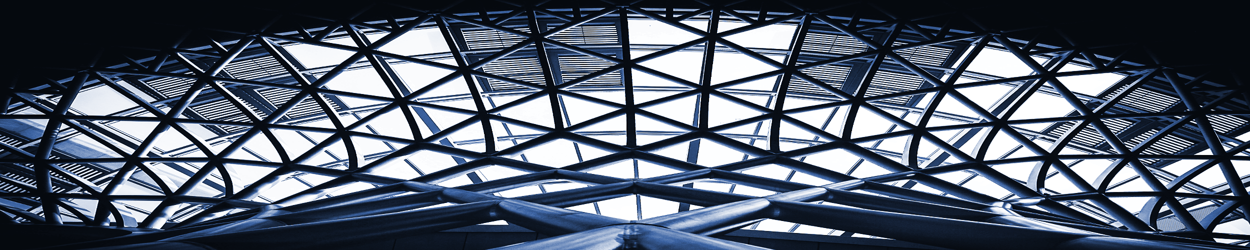 Srini Bhagavan: Long-time IBMer, Long-Distance Runner, and PhD Hopeful