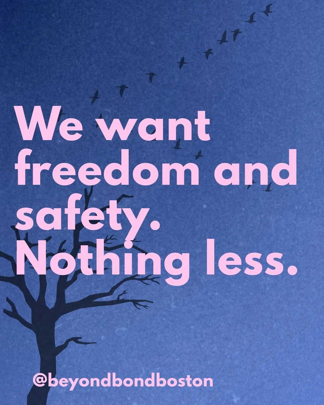 We want freedom and safety. Nothing less. 

When advocating for our community members behind bars, it is crucial that we do not alienate anyone with our word choice. No one deserves to be detained or deported. To learn more, check out the resources l