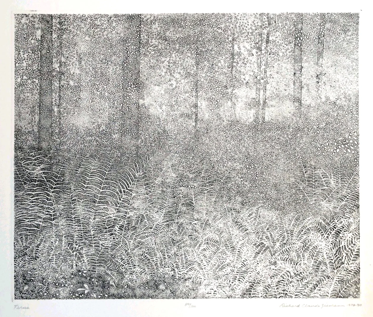 Ferns