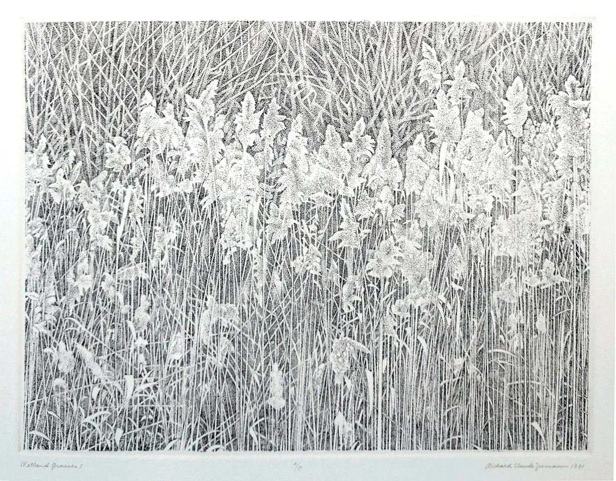 Wetland Grasses I