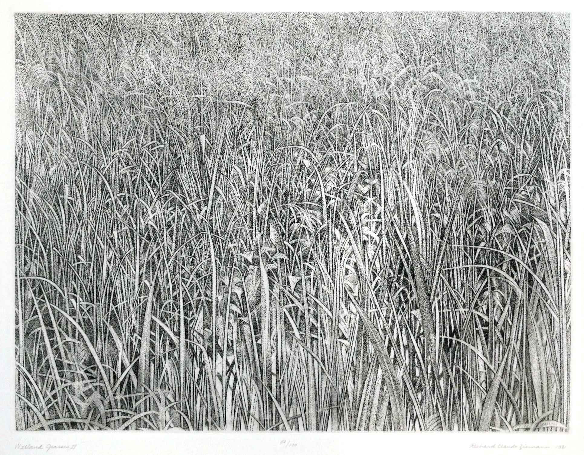 Wetland Grasses II