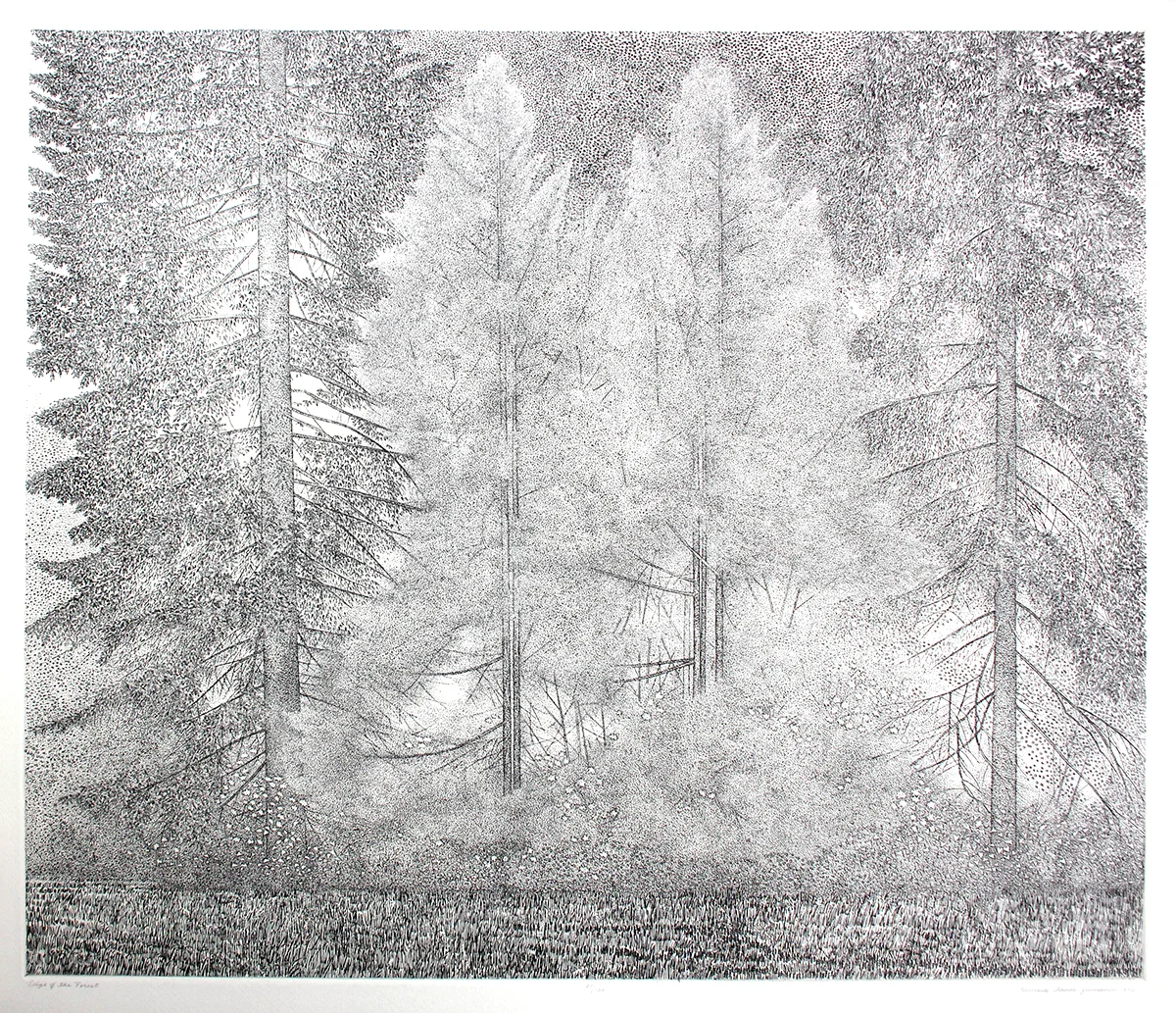 Edge of the Forest