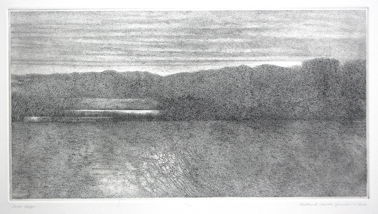 Cove's Edge