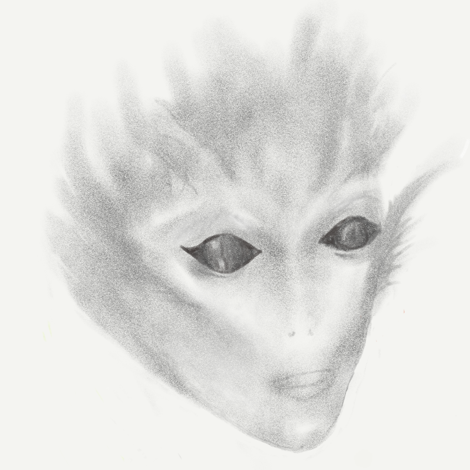 IMG_3068.PNG