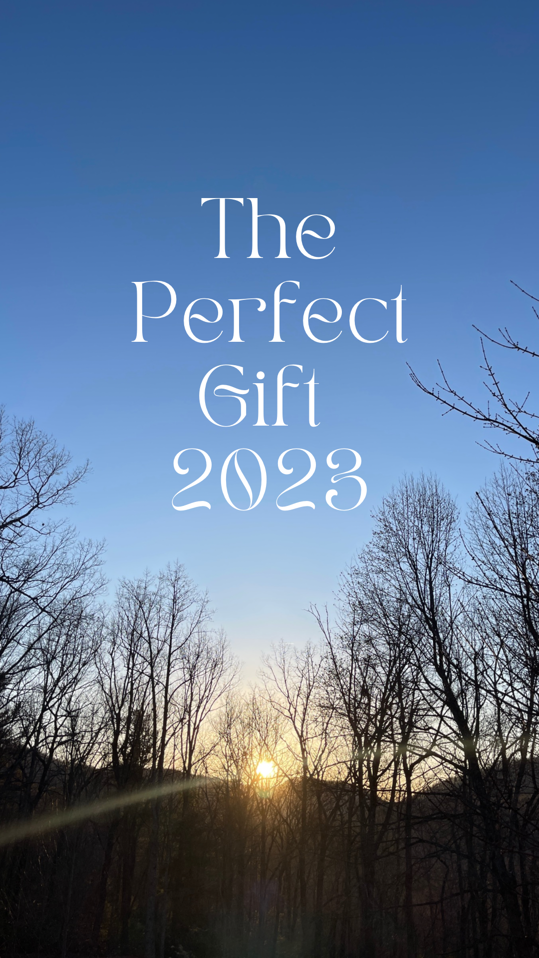 The Perfect Gift 2023