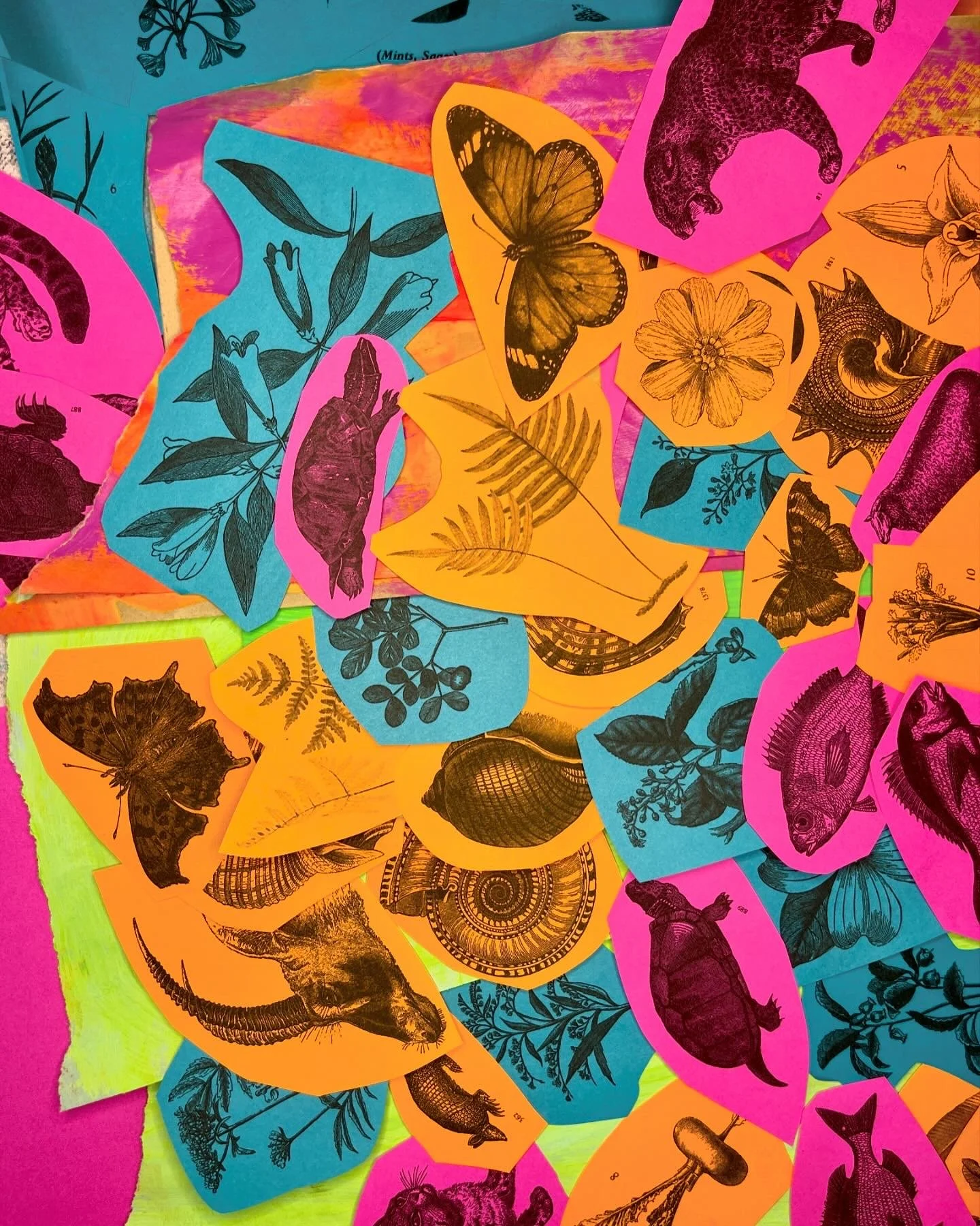 6668640E-C537-435A-87A6-F4A0AFE926AC 2.JPG