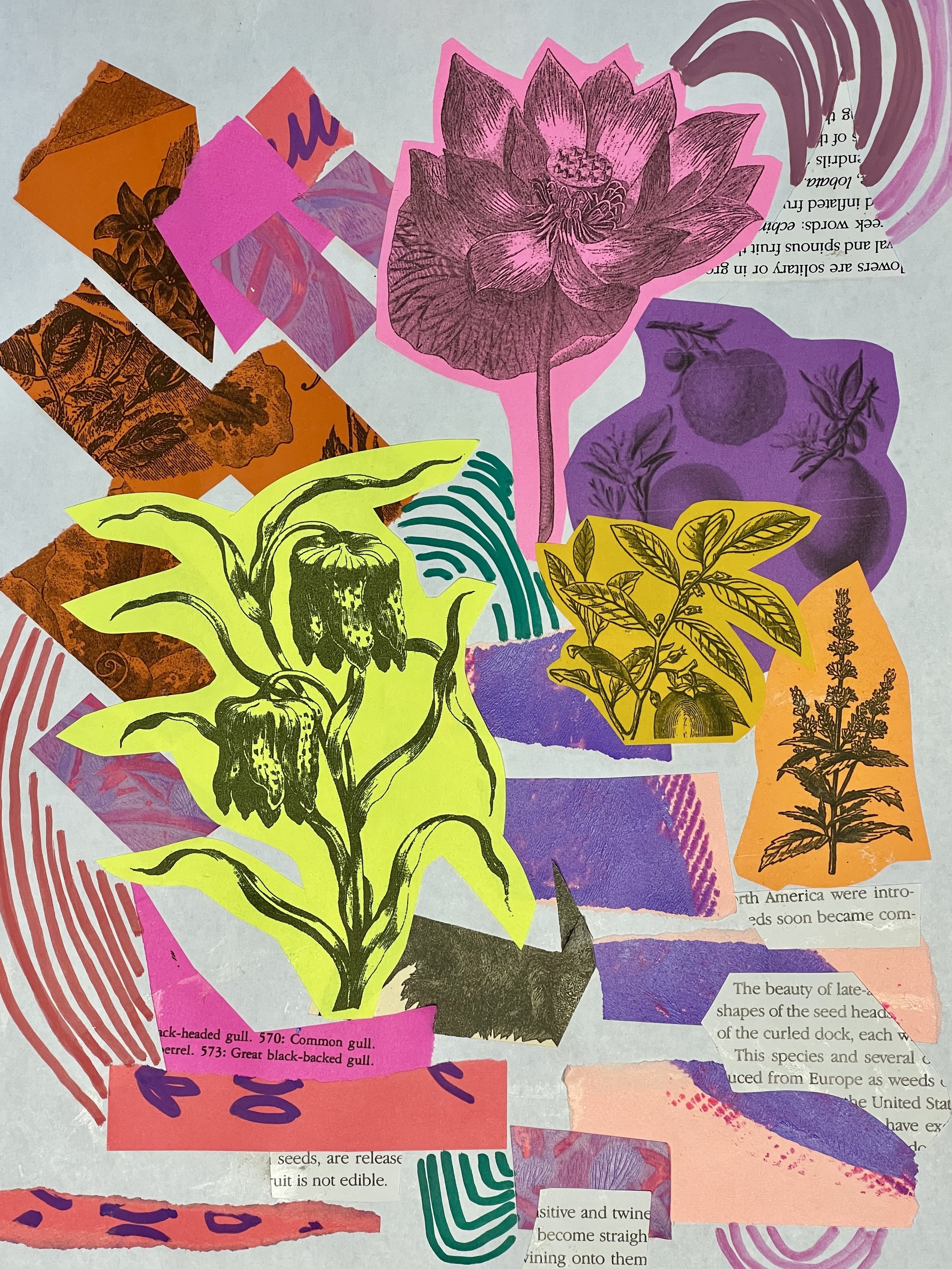 CANDLELIT COLLAGE WITH MIRANDA 1.jpg