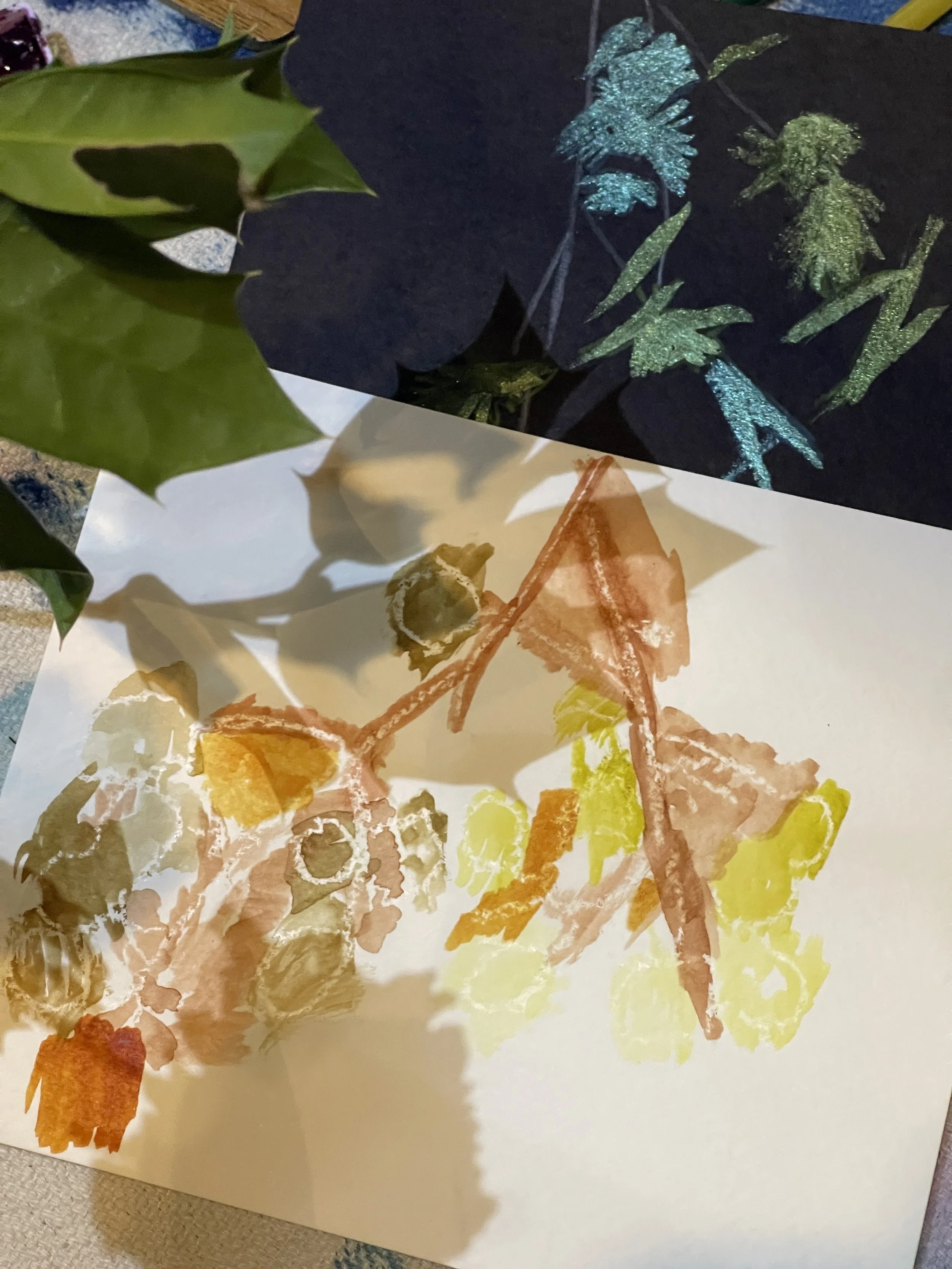 SHADOWPLAY ART WITH MIRANDA WILDMAN 9.JPG