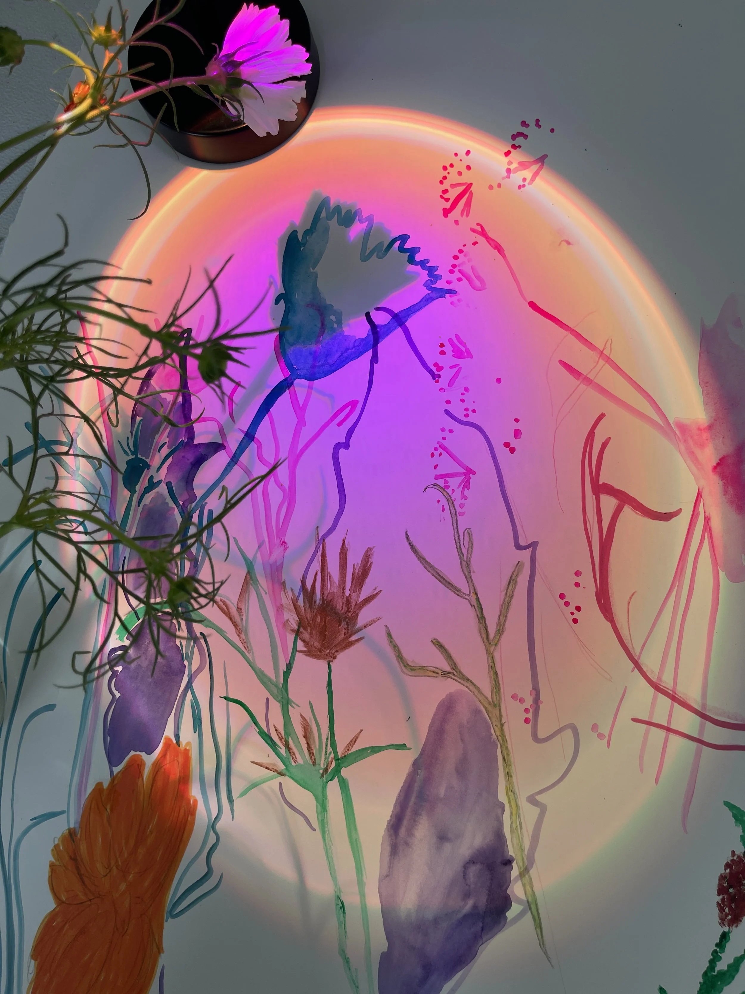 SHADOWPLAY ART WITH MIRANDA WILDMAN 7.JPG