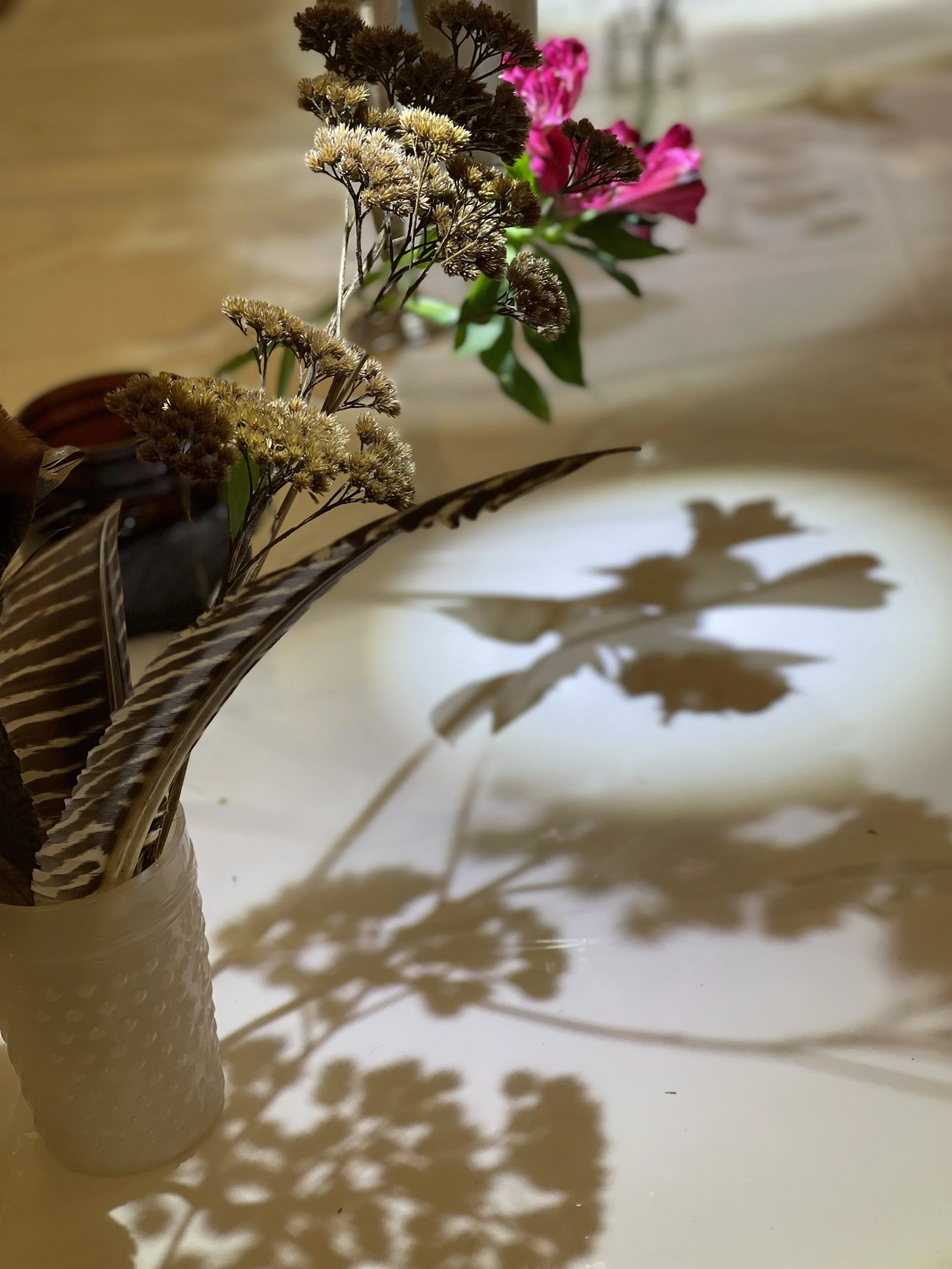 SHADOWPLAY WITH MIRANDA WILDMAN 1.jpg