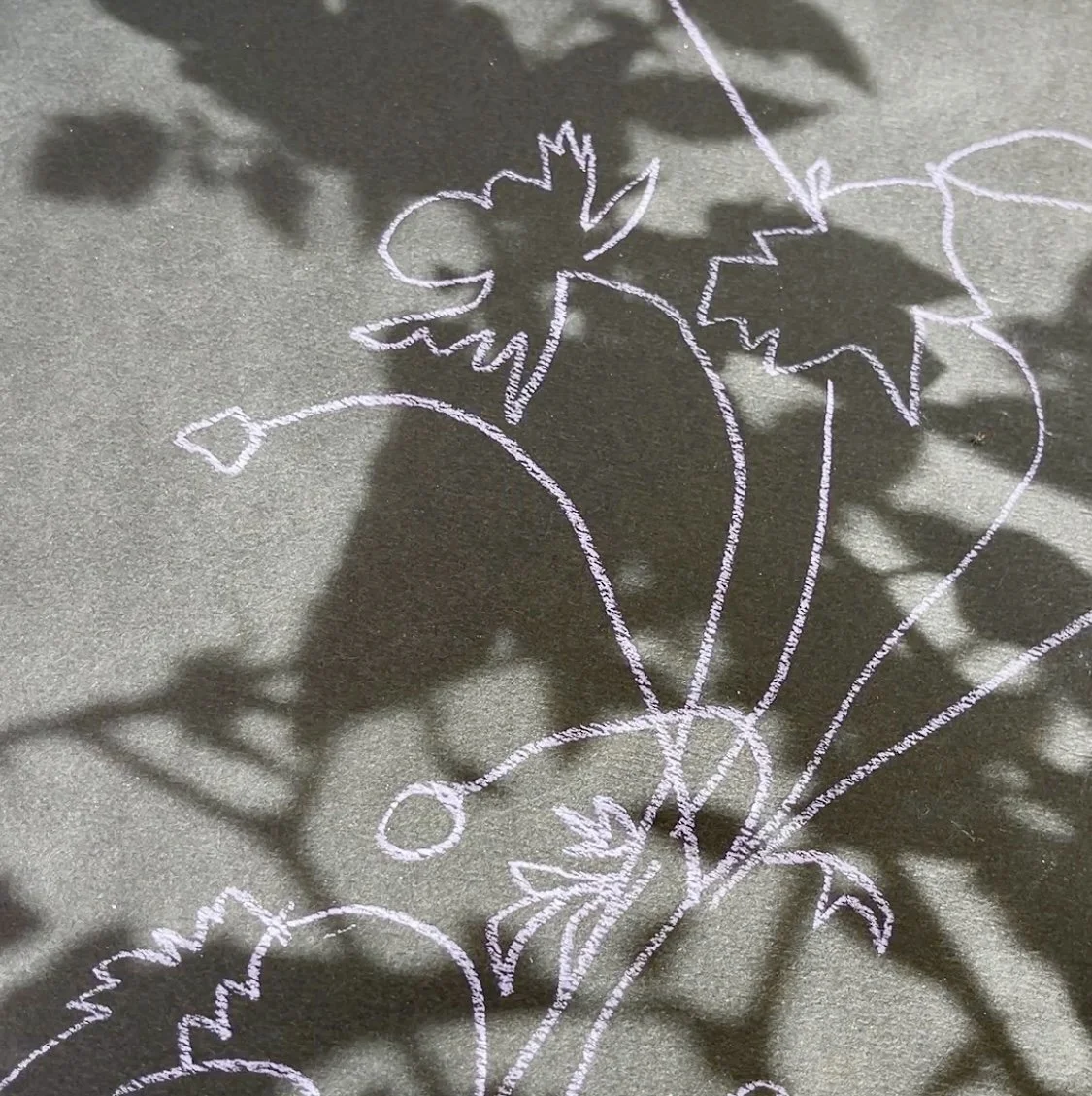 SHADOWPLAY WITH MIRANDA WILDMAN 2.jpg