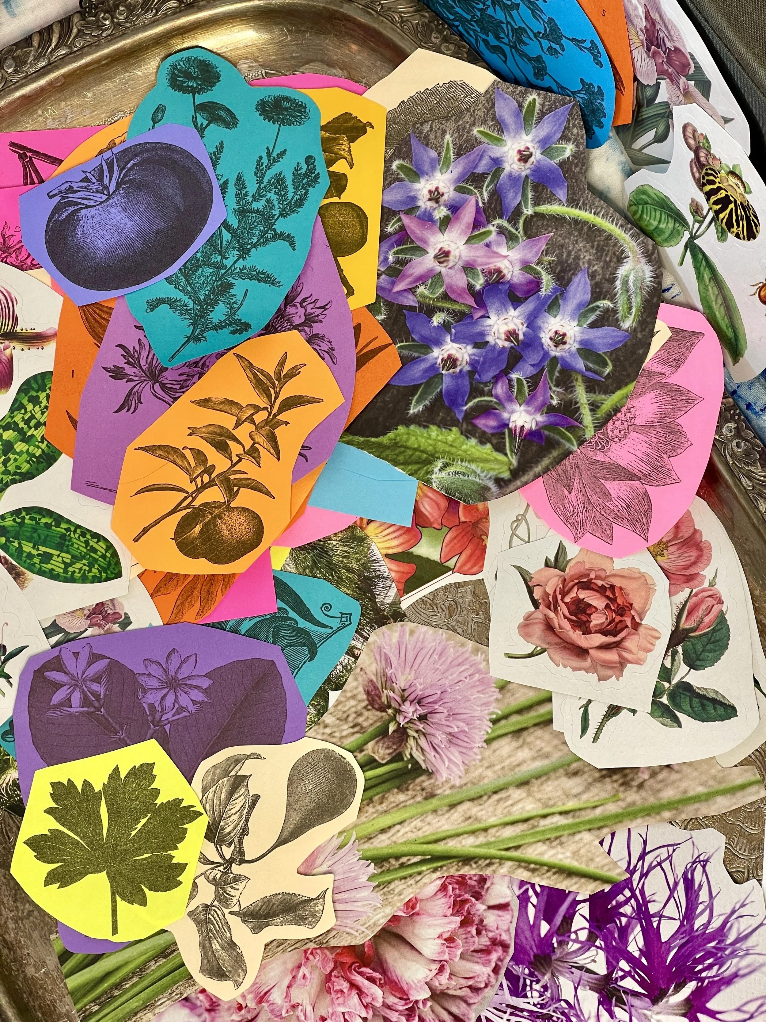 CANDLELIT COLLAGE WITH MIRANDA WILDMAN 1.jpg