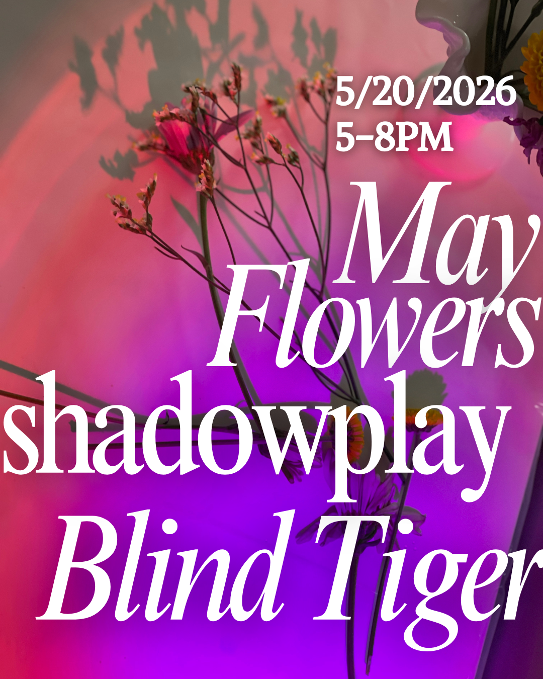 May Flowers ShadowPlay with Miranda Wildman Blind Tiger Hotel