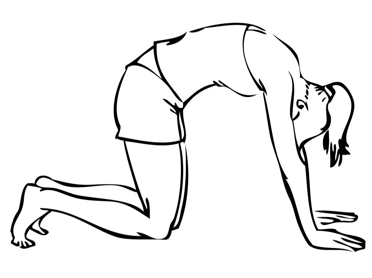 cat-poses-drawing-37.jpg