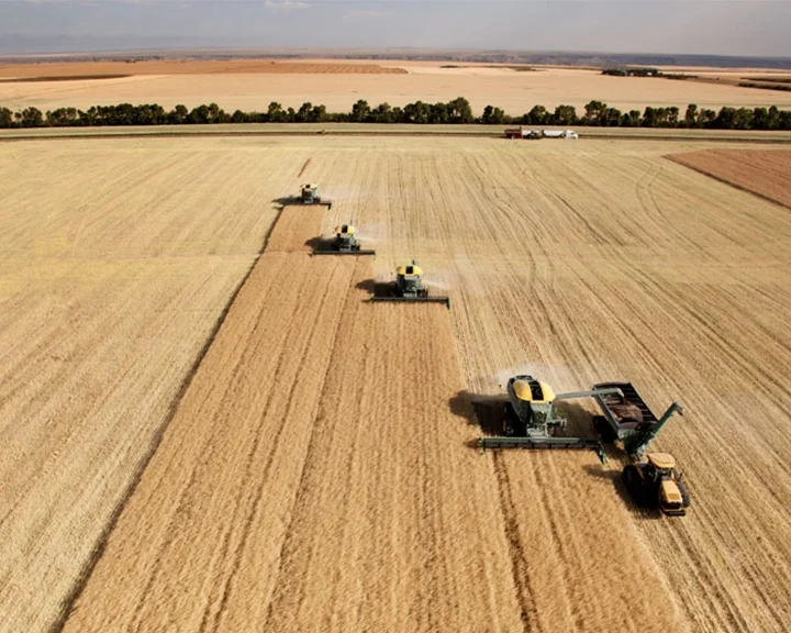 Australia races forwards with high precision positioning tech