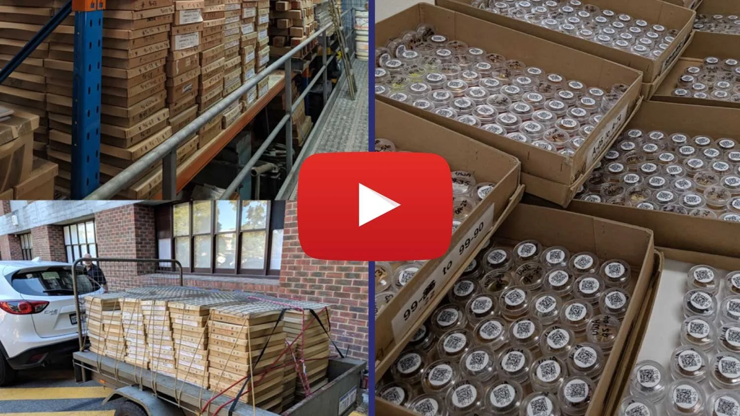 AGN Webinar 2: McNaughton SHRIMP legacy collection