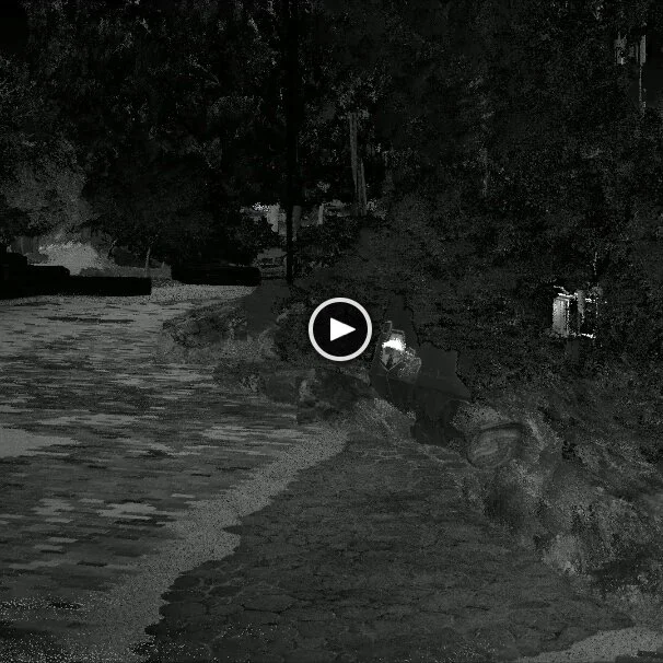 An afternoon stroll through a virtual garden