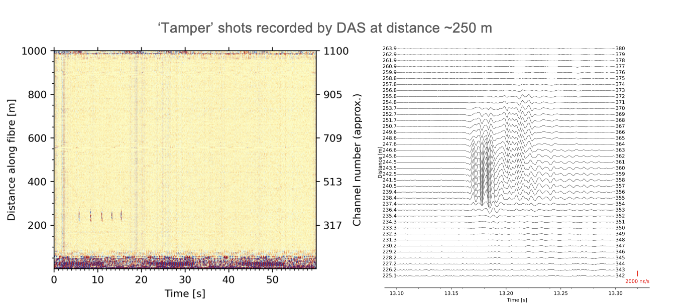 Signals from 5 consecutive taps recorded by DAS at distance ~250m from the DAS instrument. Image: Voon Hui Lai