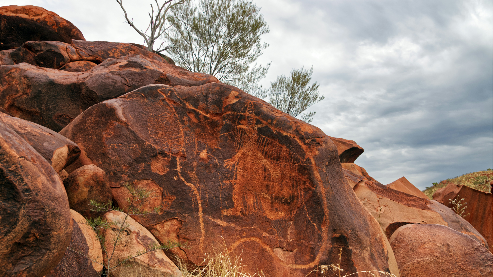 FieldScope Australia
