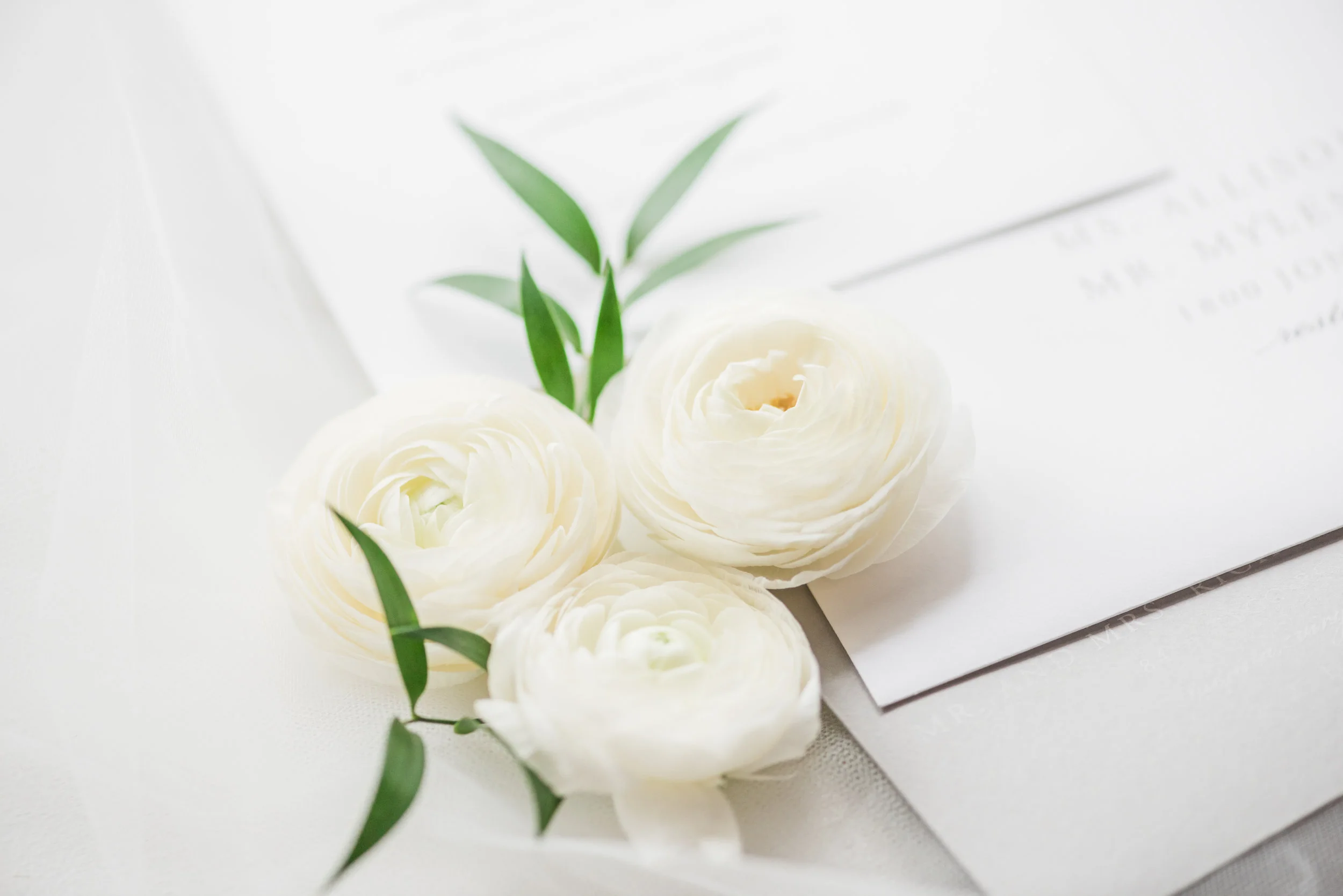 POPLAR_SPRINGS_MANOR_WEDDING_JOFFOTO-5.jpg