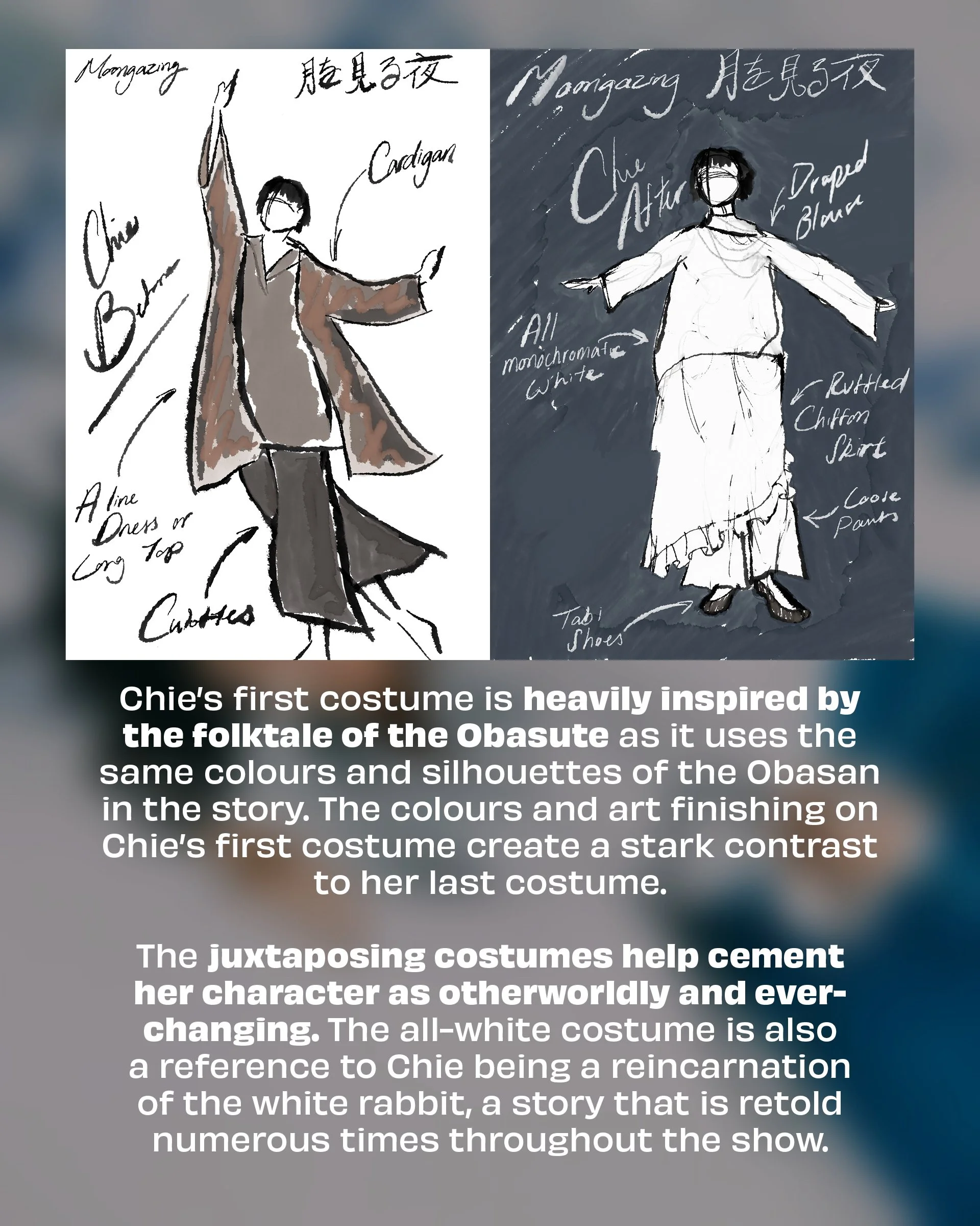 2026 月を見る夜 Moongazing Costume Feature 4x58.jpg