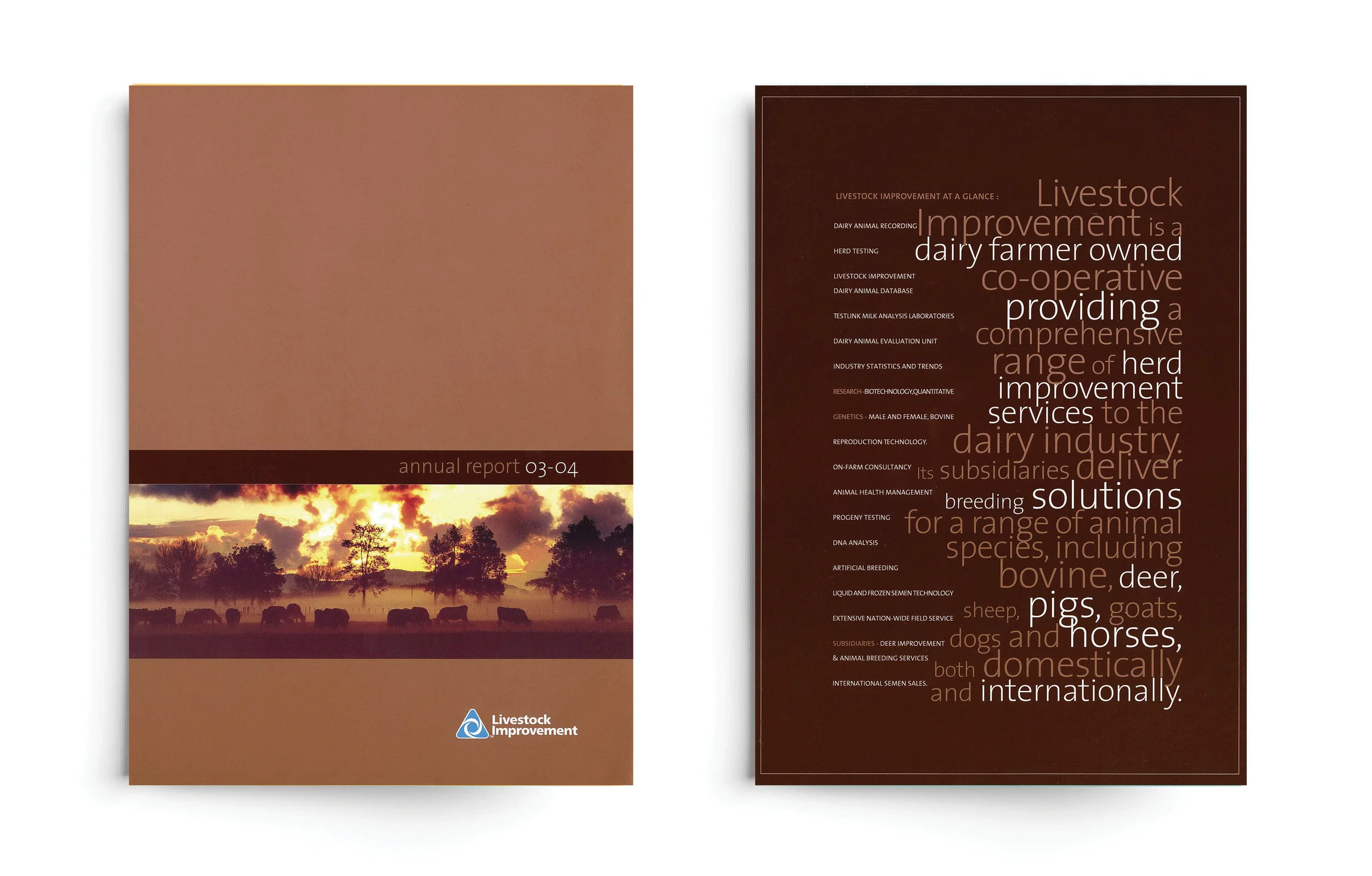 ANNUAL REPORT
