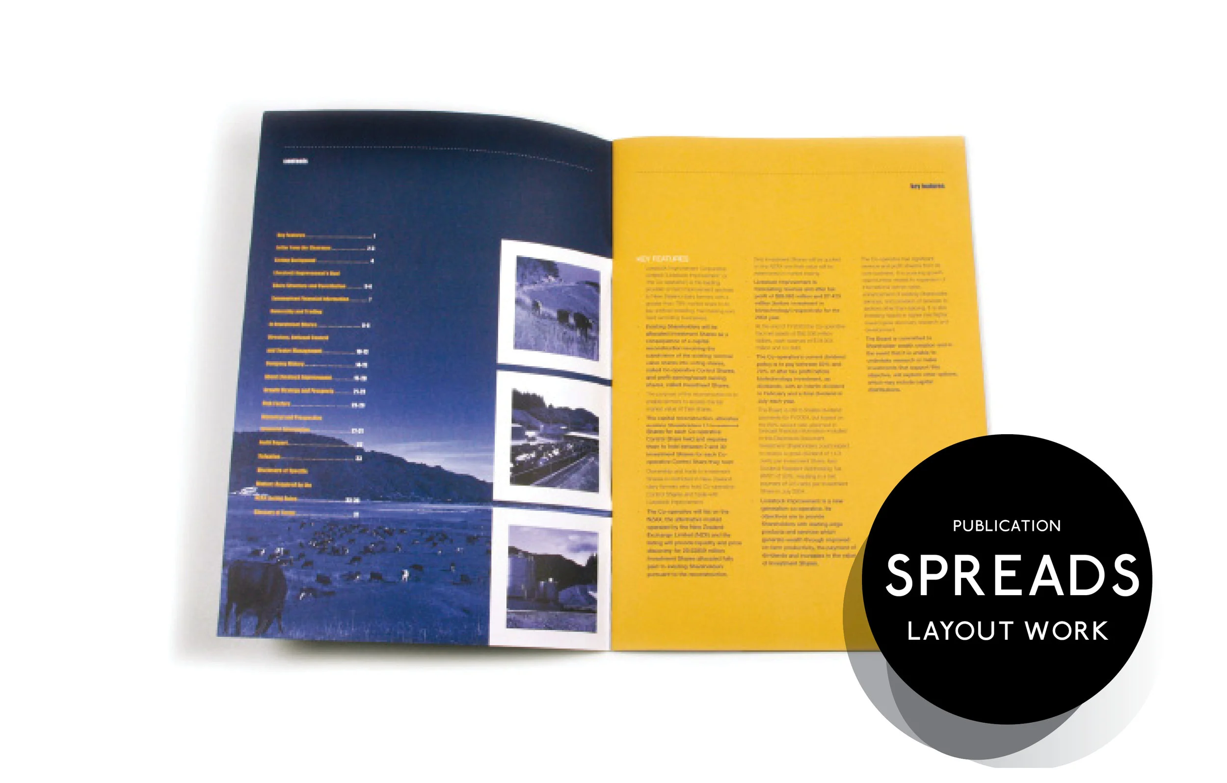 LI Annual report inside spread.jpg