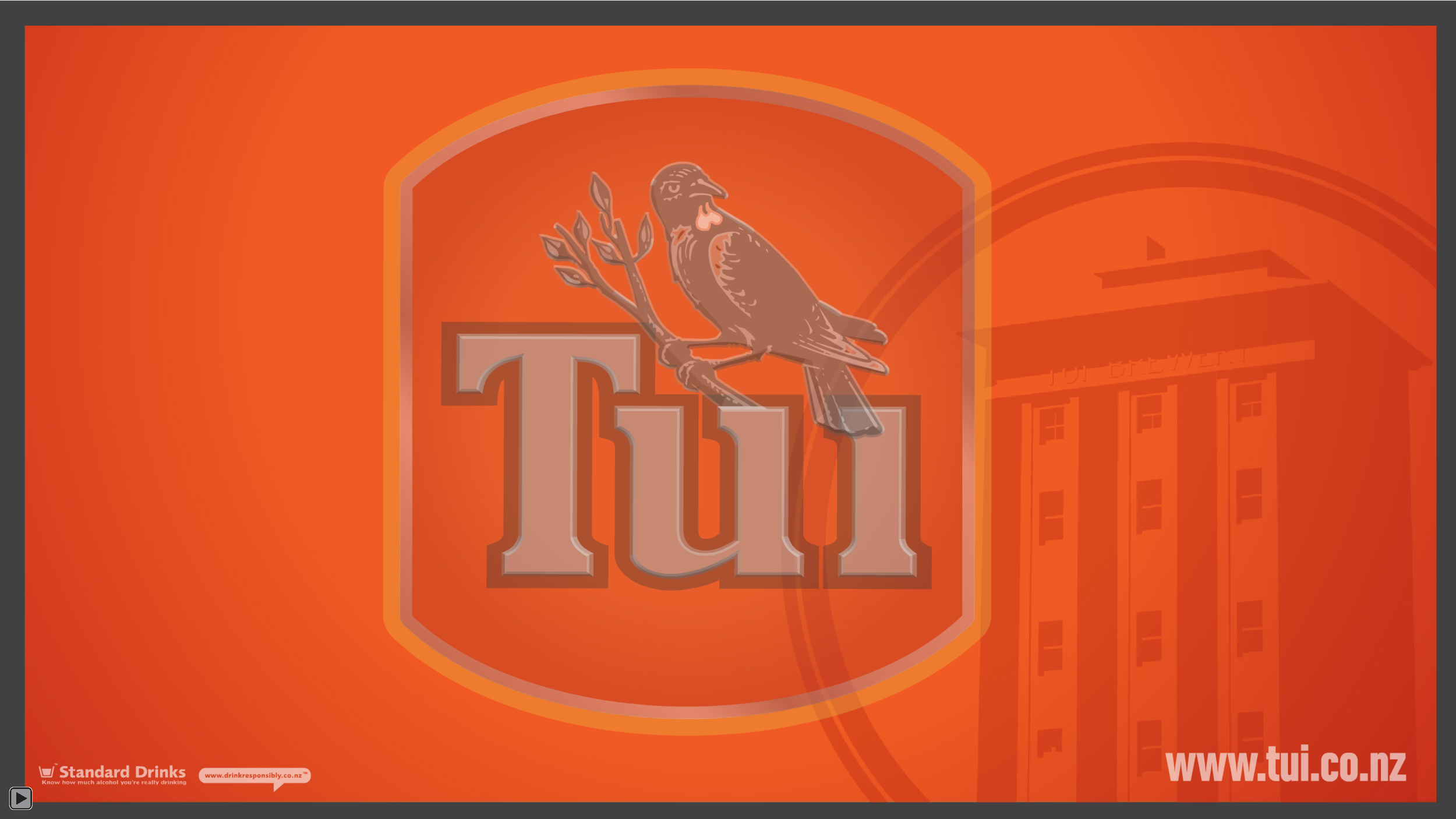 Flash Tui and GOLD_Page_2.png