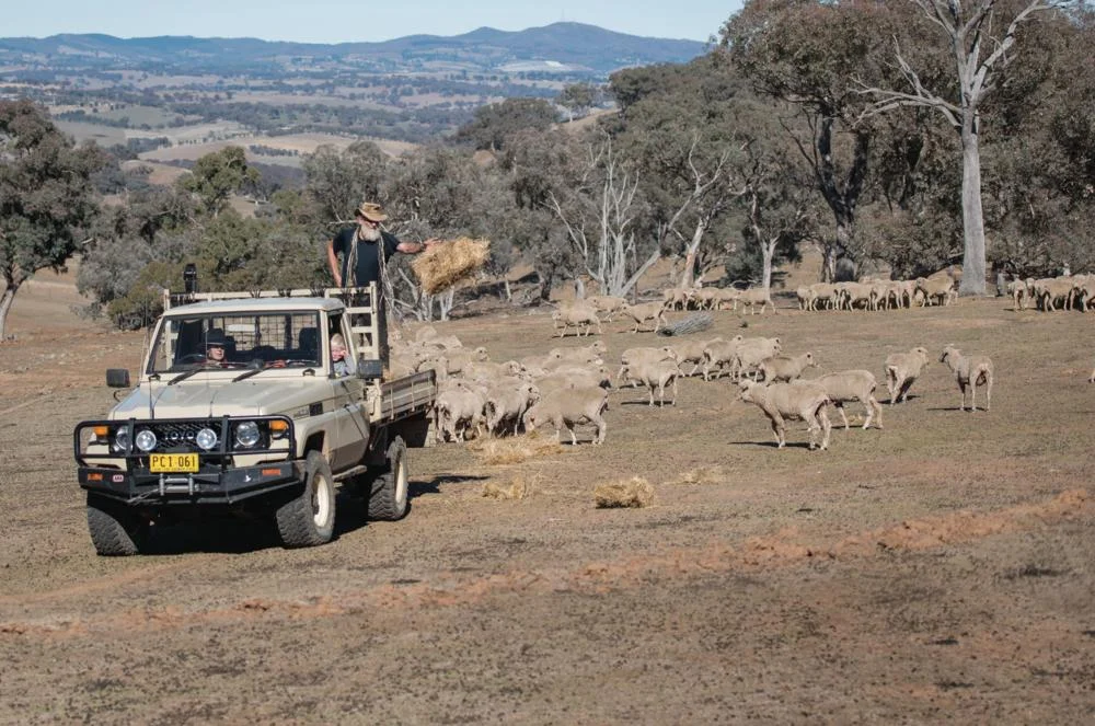 Fundraising for drought-affected farmers in NSW and QLD