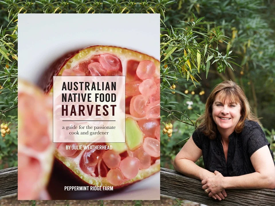 Australian Native Food Harvest for Cooks &amp; Gardeners