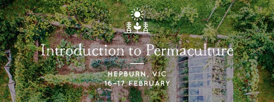 Introduction to Permaculture Course at Milkwood, Hepburn