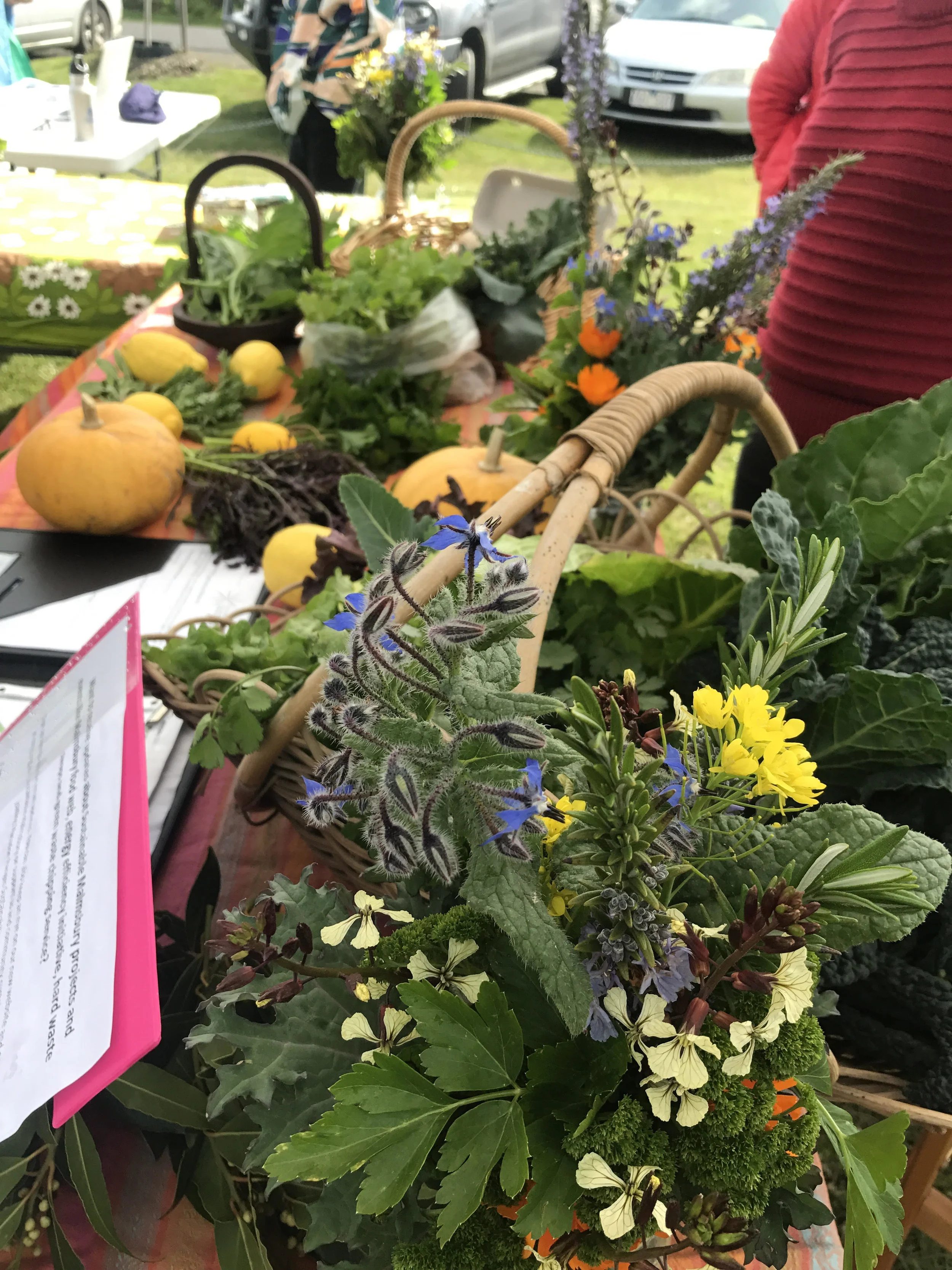 Malmsbury Produce Swap borage.jpg