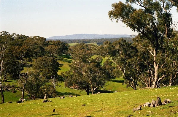 Climate Change Forum at Mount Alexander Shire Council