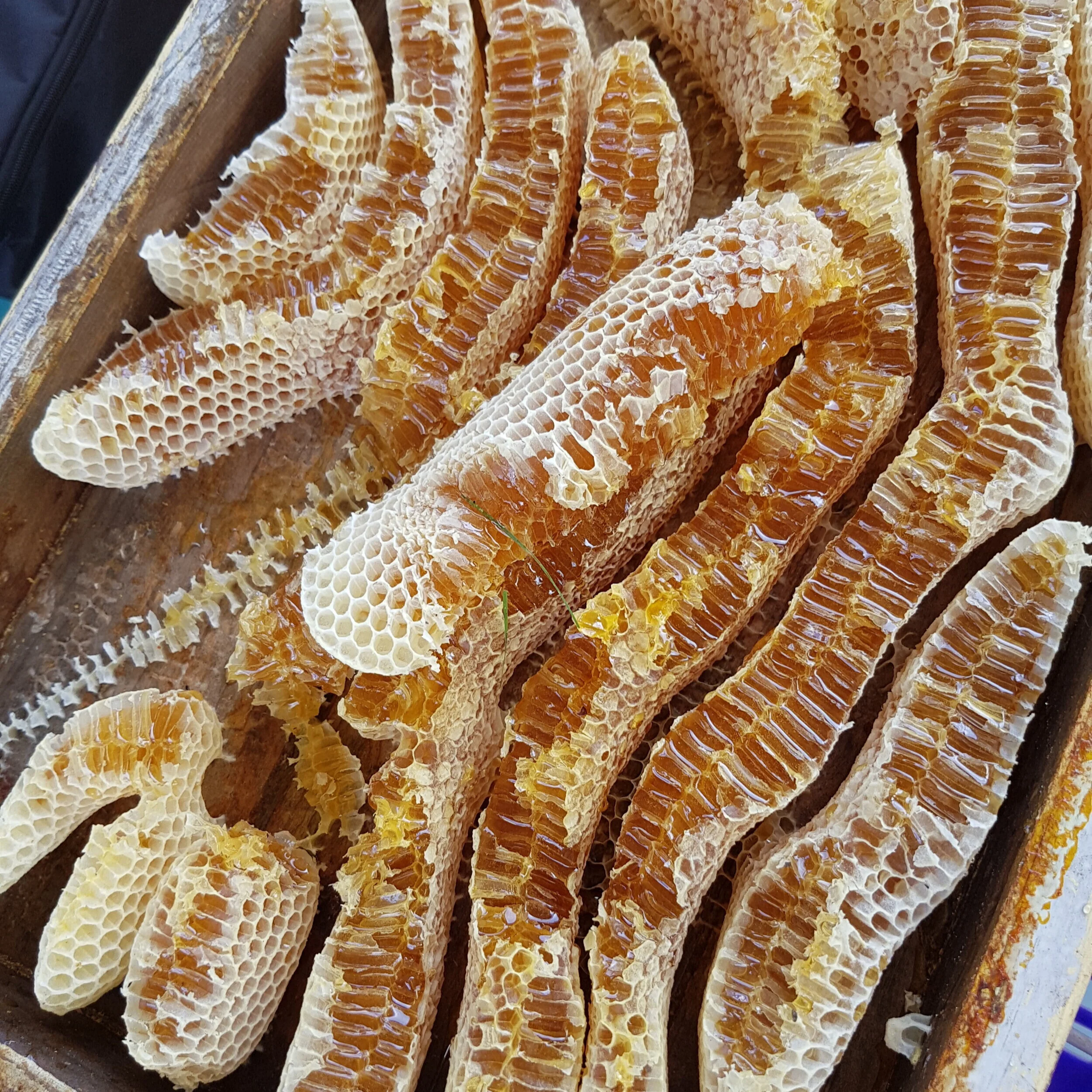 Woodend Bee Friendly Society April 2020 Meeting-Cancelled