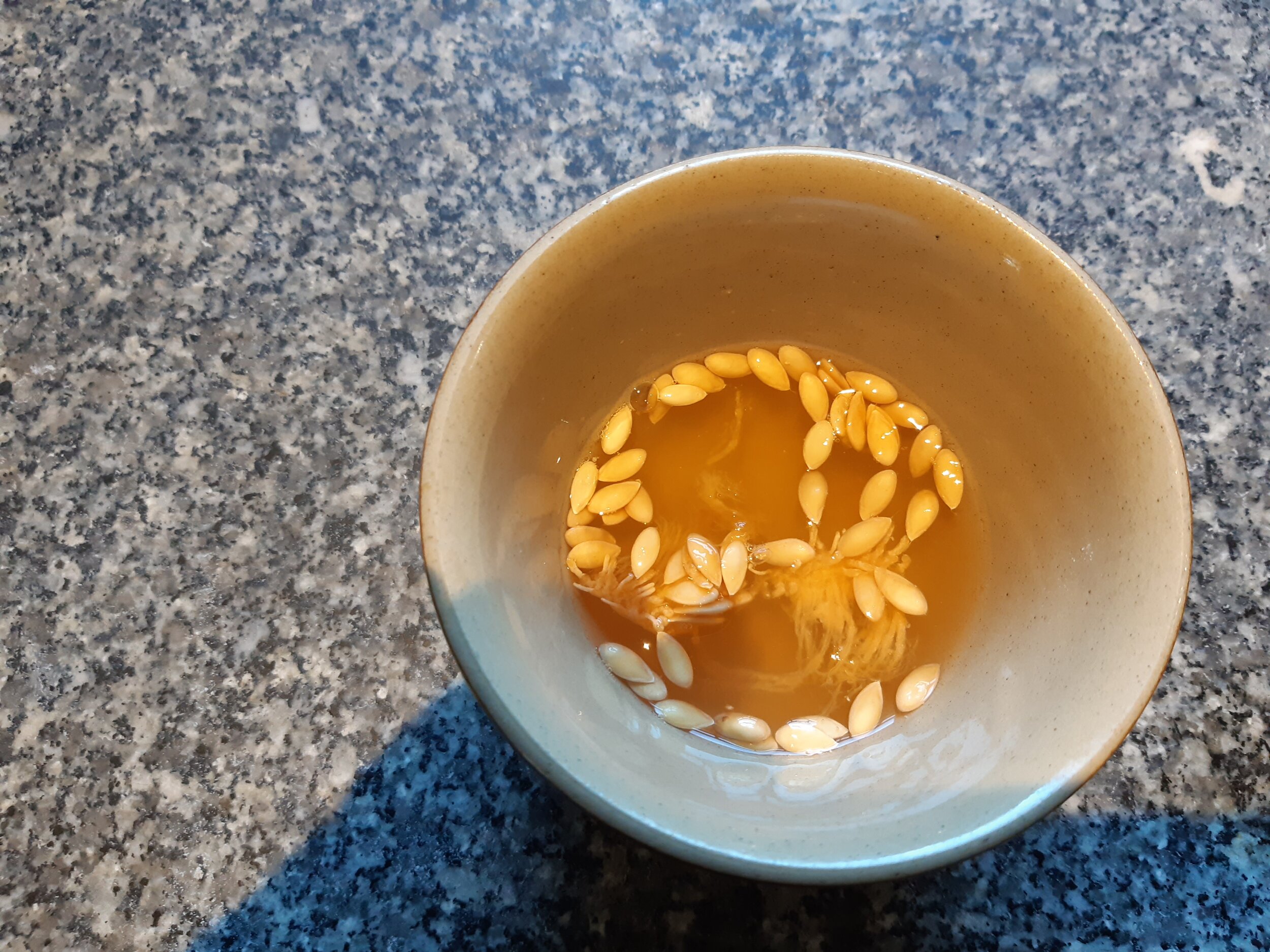  Melon seeds being rinsed; immature/non-fertile seeds float with pulp. 