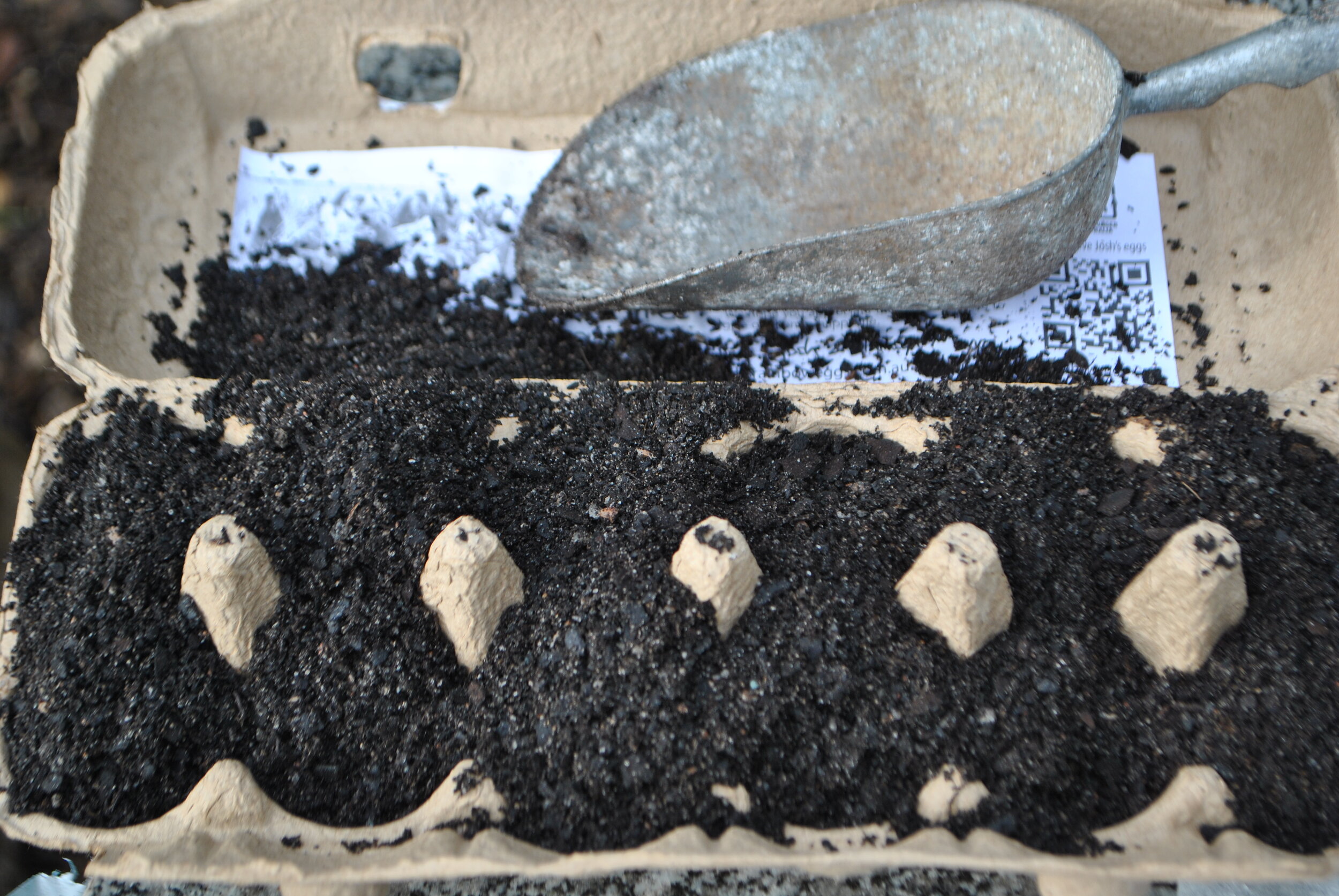 Fill your used egg-carton with about 3/4 of the seed raising mix.