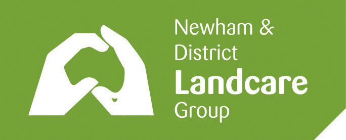 Landcare-Newham-logo-horizontal.jpg