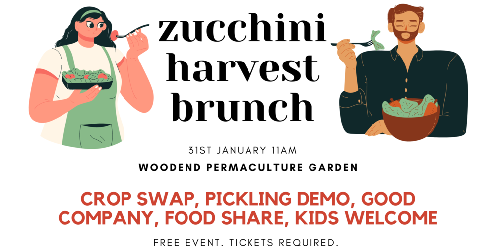 Zucchini Harvest Brunch: You're Welcome!